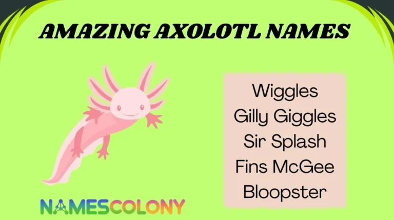 Amazing Axolotl Names