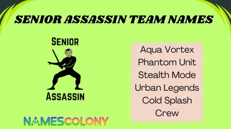 Senior Assassin Team Names