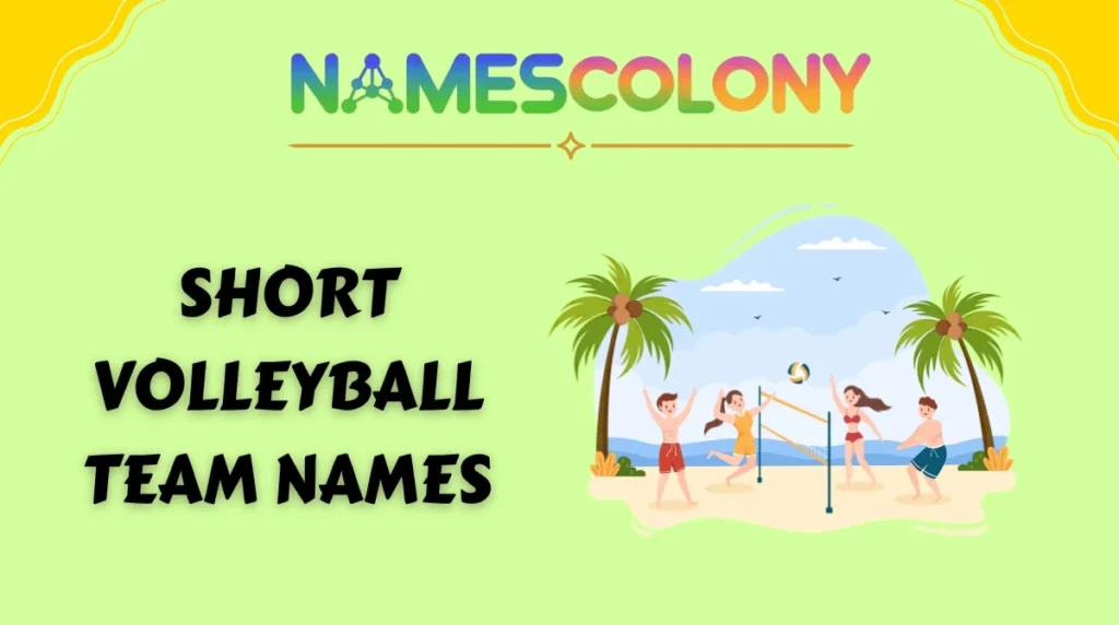 Short Volleyball Team Names
