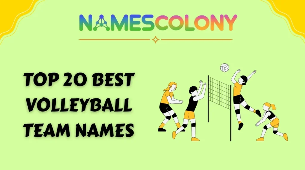 Top 20 Best Volleyball Team Names