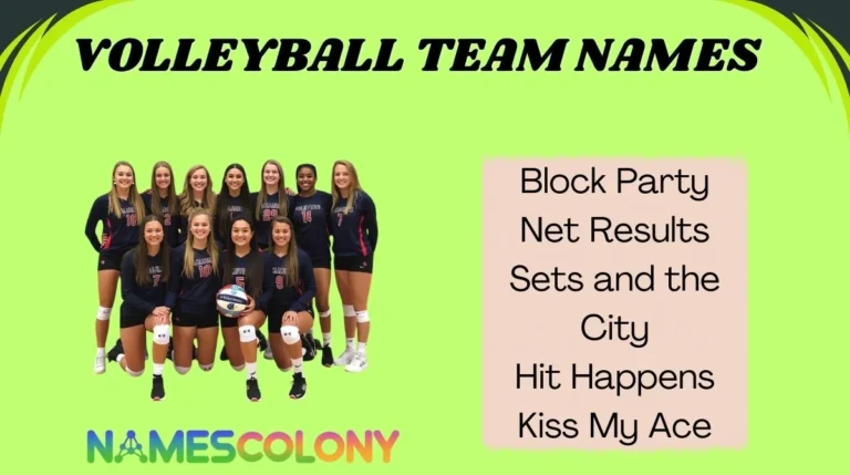 Volleyball Team Names
