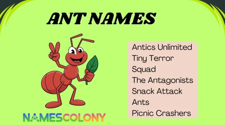 Ant Names