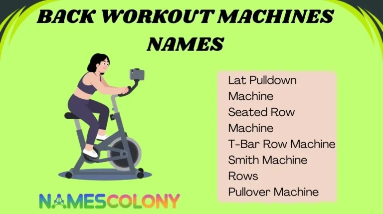 Back Workout Machines Names
