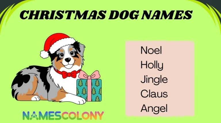 Christmas Dog Names