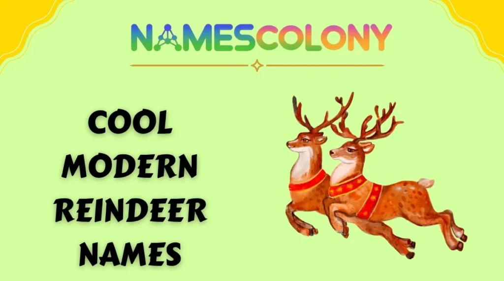 Cool & Modern Reindeer Names