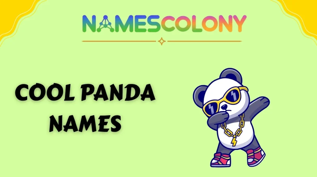 Cool Panda Names