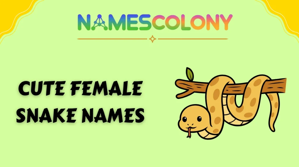 Cute Female Snake Names