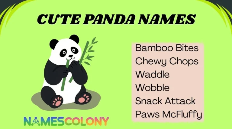 Cute Panda Names
