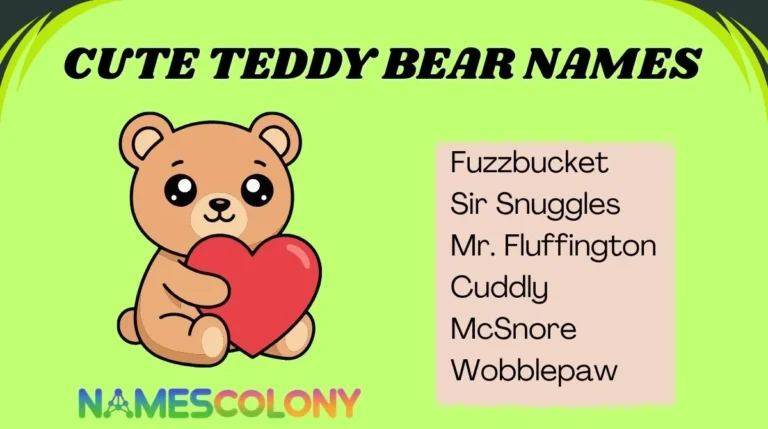 Cute Teddy Bear Names