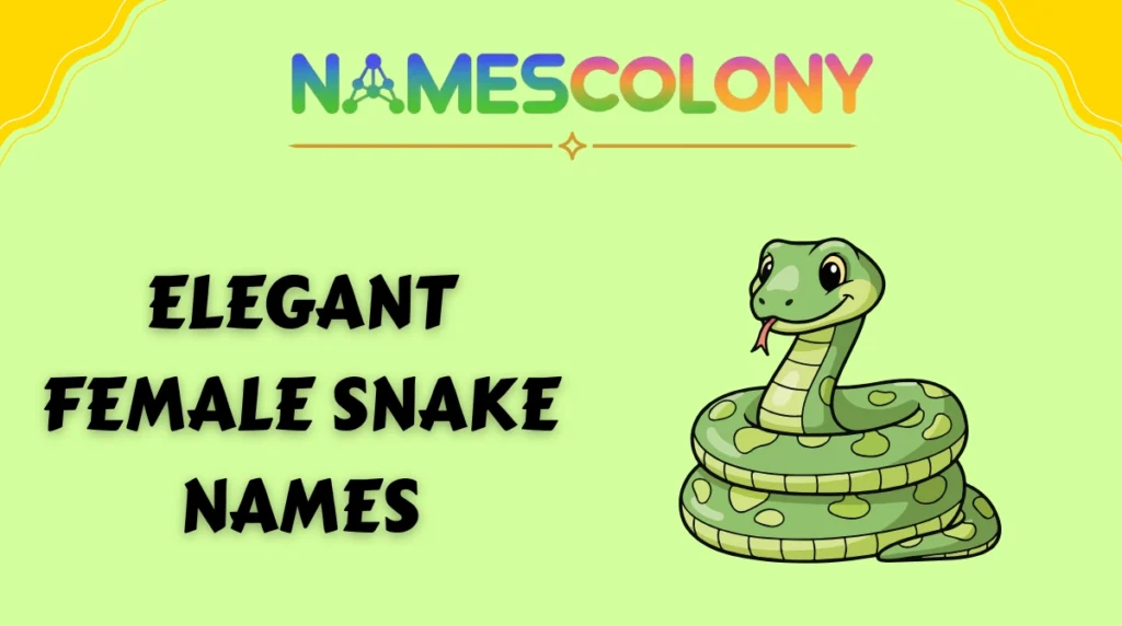 Elegant Female Snake Names