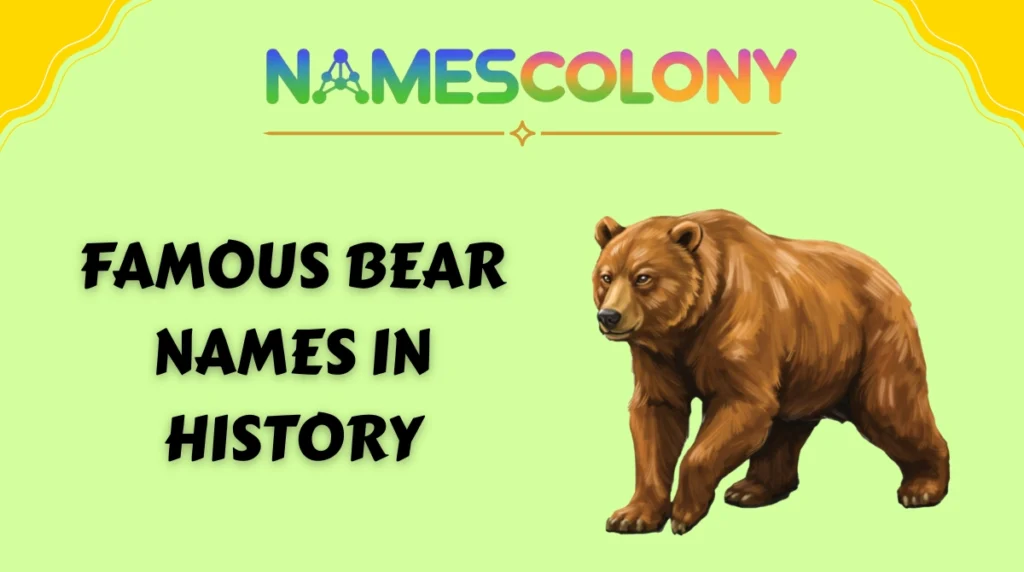 Famous Bear Names in History