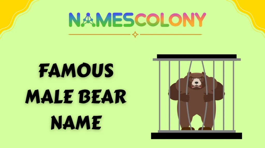 Famous Male Bear Name