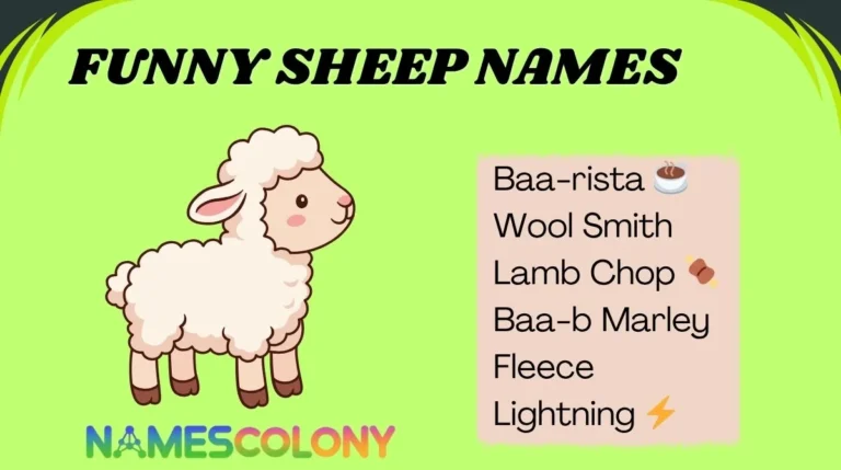 Funny Sheep Names