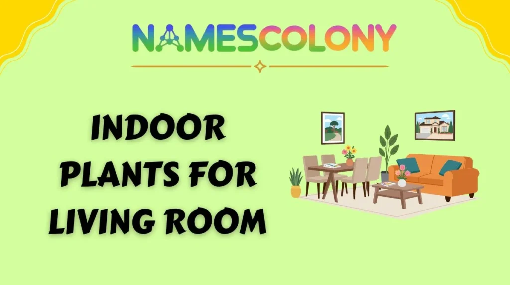 Indoor Plants for Living Room