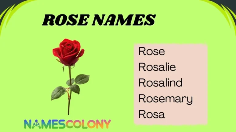 Rose Names