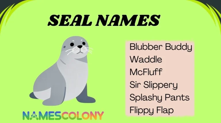Seal Names