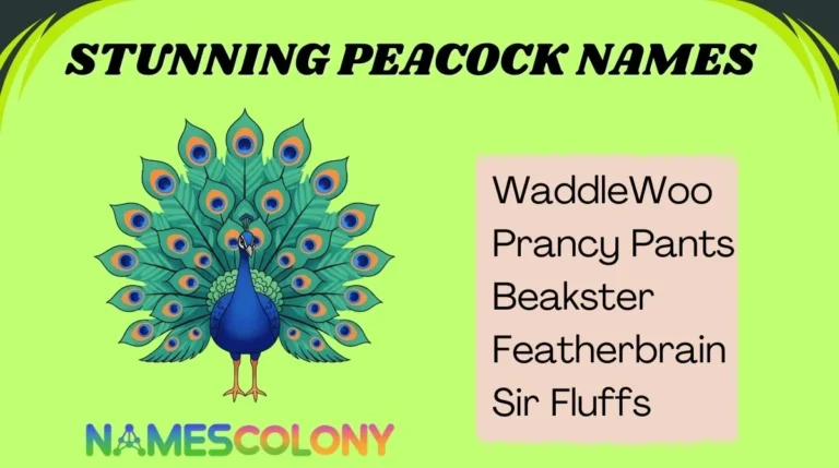 Stunning Peacock Names