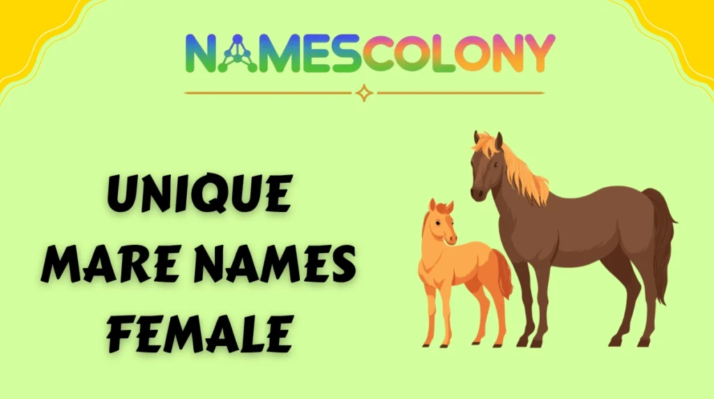 Unique Mare Names Female