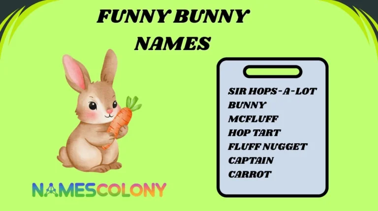 Funny Bunny Names