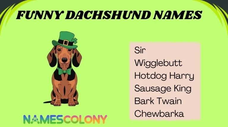 Funny Dachshund Names