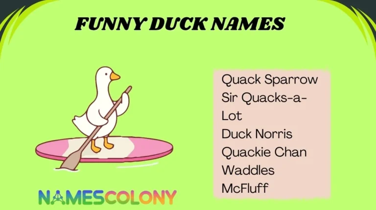 Funny Duck Names