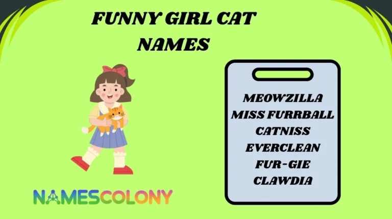 Funny Girl Cat Names