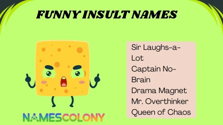 Funny Insult Names