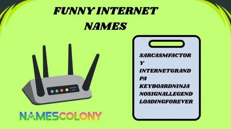 Funny Internet Names