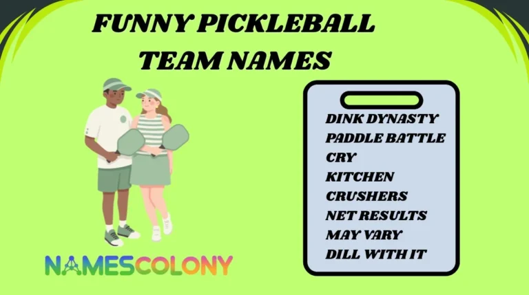 Funny Pickleball Team Names
