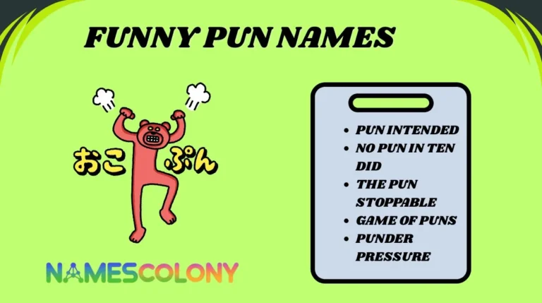 Funny Pun Names