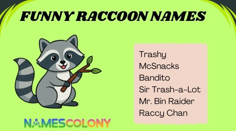 Funny Raccoon Names