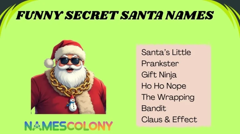 Funny Secret Santa Names