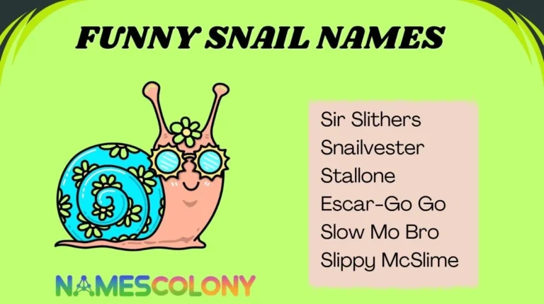 Funny Snail Names