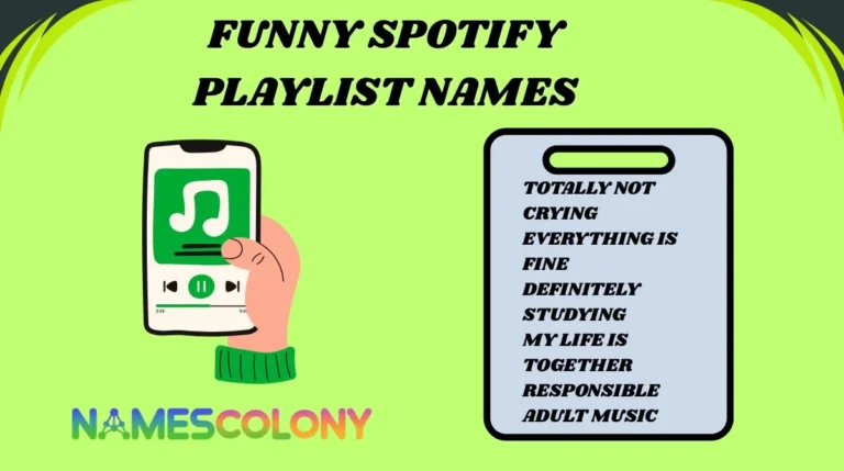 Funny Spotify Playlist Names