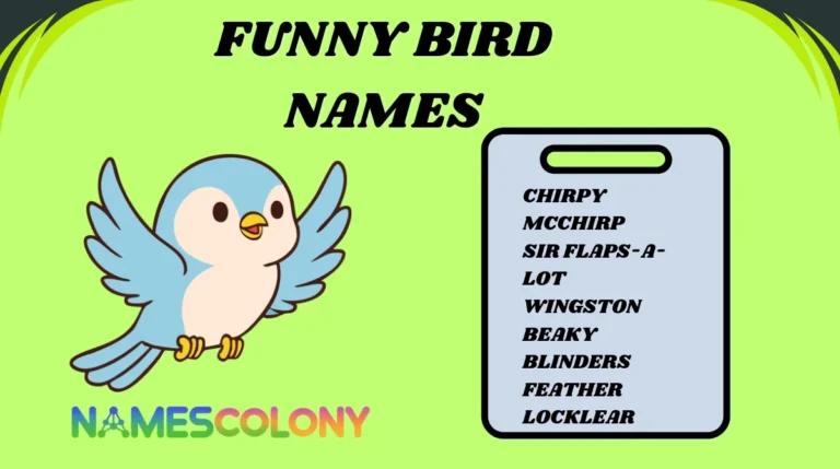 Funny Bird Names