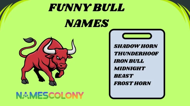 Funny Bull Names