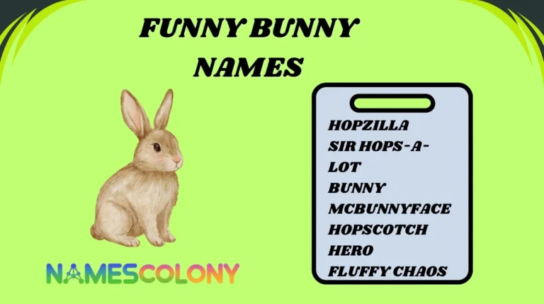 Funny Bunny Names