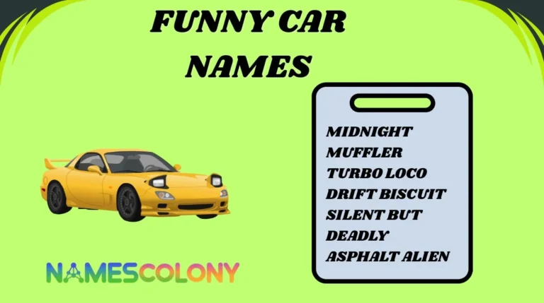 Funny Car Names