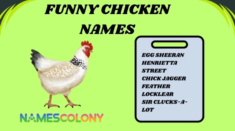 Funny Chicken Names