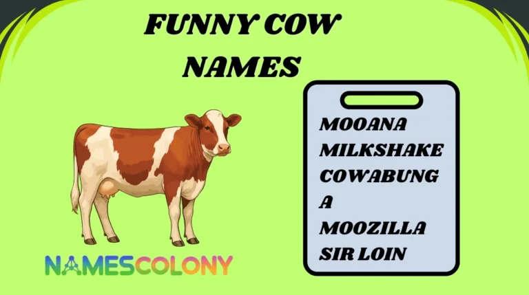 Funny Cow Names