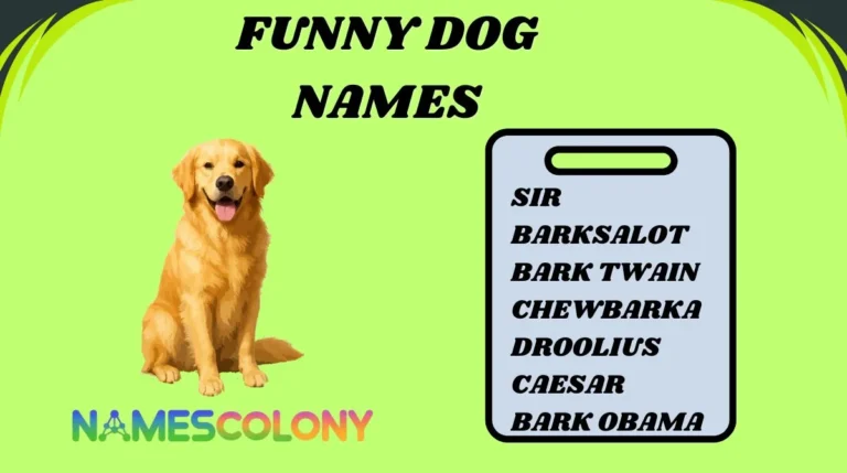Funny Dog Names