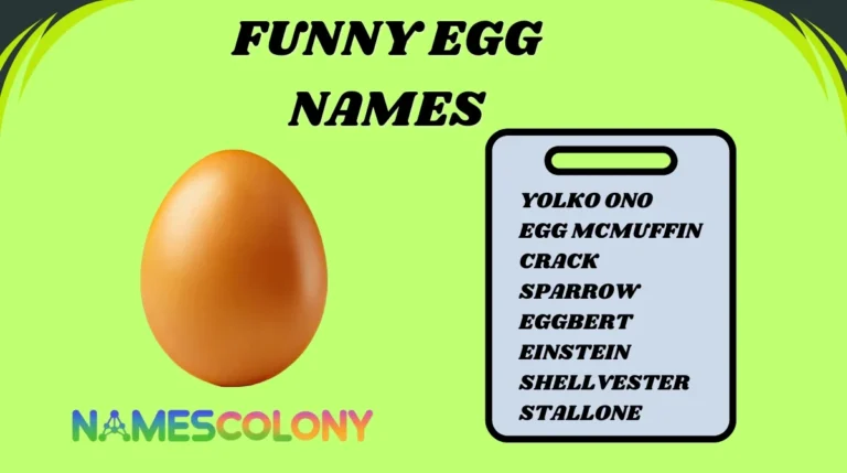 Funny Egg Names