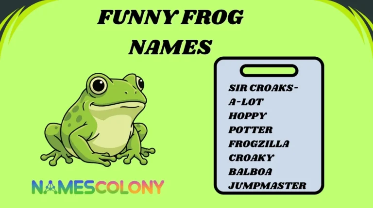 Funny Frog Names