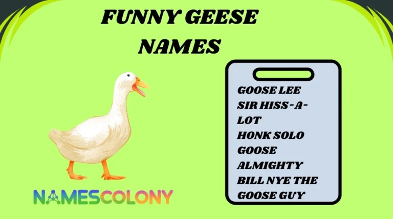 Funny Geese Names