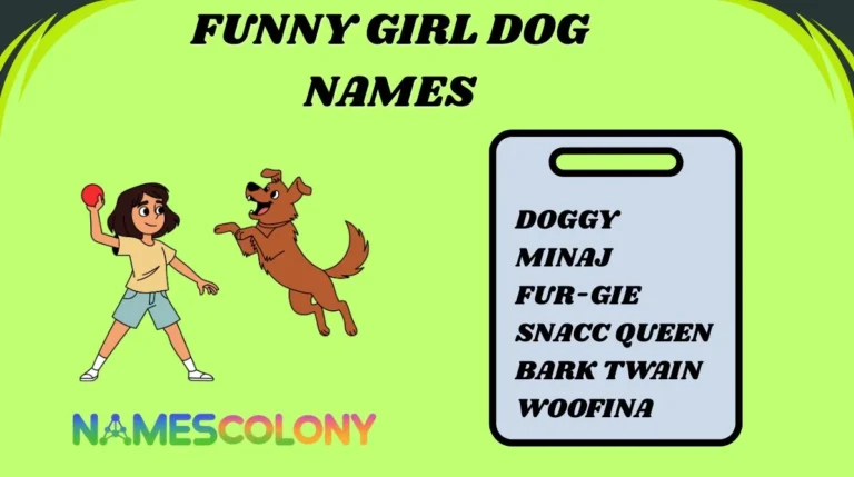 Funny Girl Dog Names