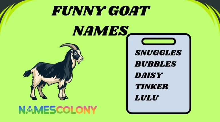 Funny Goat Names