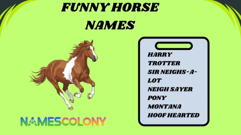 Funny Horse Names