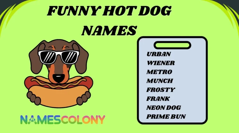 Funny Hot Dog Names