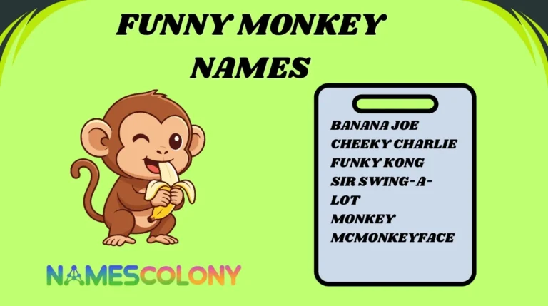 Funny Monkey Names