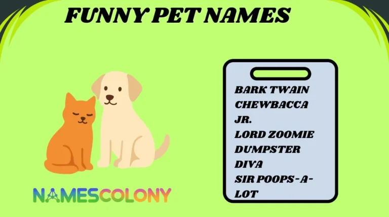 Funny Pet Names